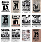 Harry Potter Wanted Poster Cutouts 12pk